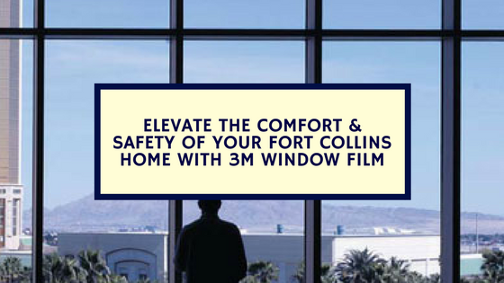 Elevate the Comfort & Safety of Your Fort Collins Home with 3M Window Film