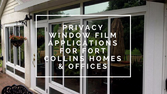 Privacy Window Film Applications for Fort Collins Homes & Offices