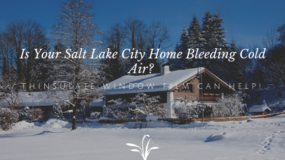 Is Your Salt Lake City Home Bleeding Cold Air_ Thinsulate Window Film Can Help! (1)
