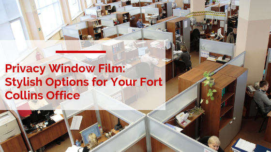 Privacy Window Film_ Stylish Options for Your Fort Collins Office