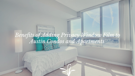 privacy window film austin condos apartments