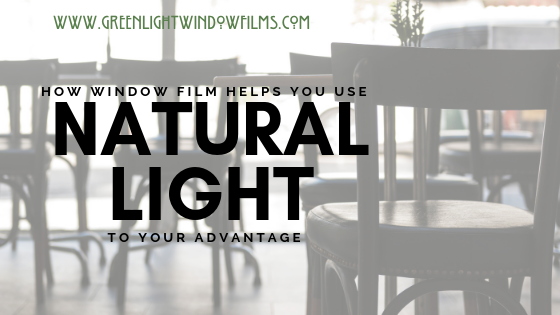 Window film for natural light Greenlight Kansas City