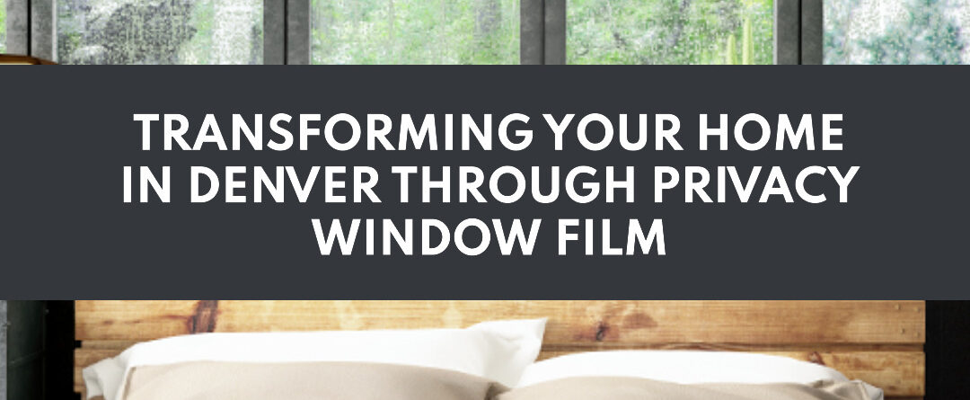 privacy window film denver